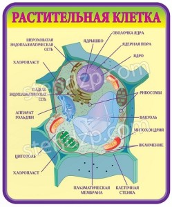 Печать