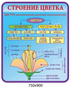 Печать
